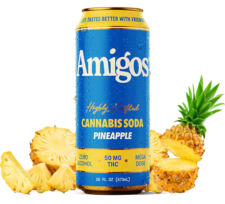 Amigos 16oz